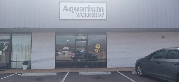 Aquarium Workshop Picture 8