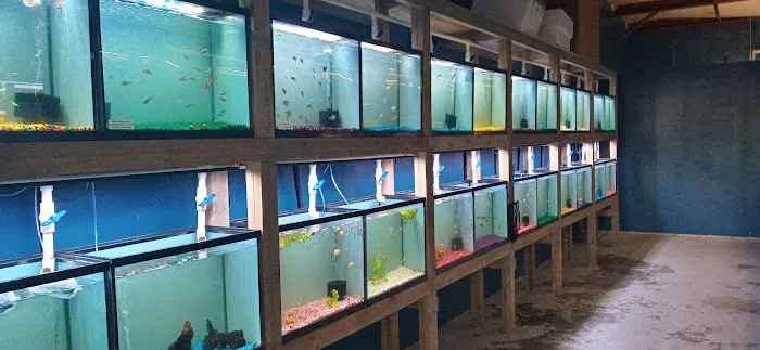 Aquarium Workshop Picture 7
