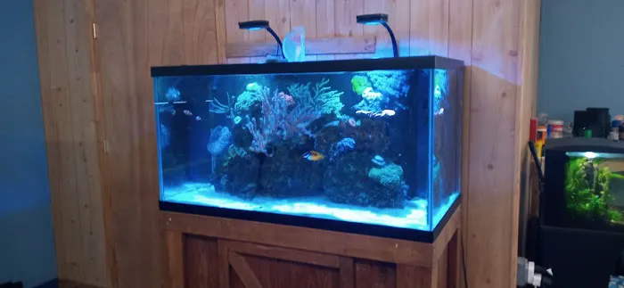 Aquarium Workshop Picture 5