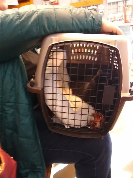 Candray Pet Care Center Picture 9