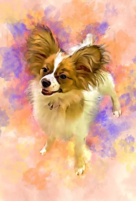 Candray Pet Care Center Picture 8