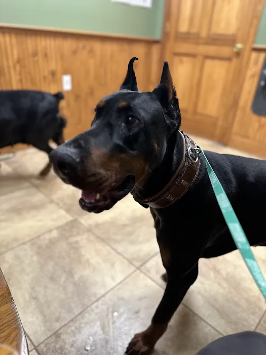 Deerfield Veterinary Clinic Picture 6