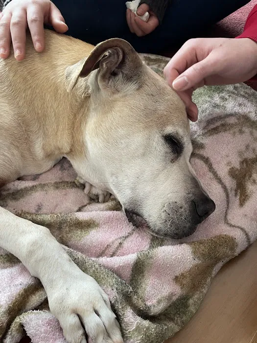 ARK Animal Homecare, PLLC Picture 7