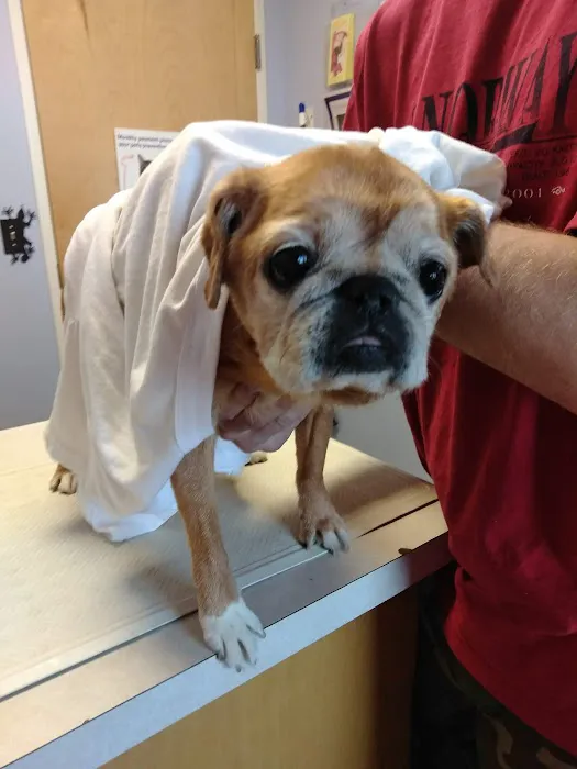 Country Animal Hospital Picture 4