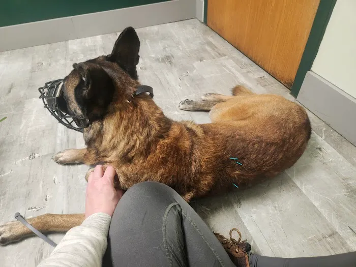 Poultney Veterinary Hospital Picture 2