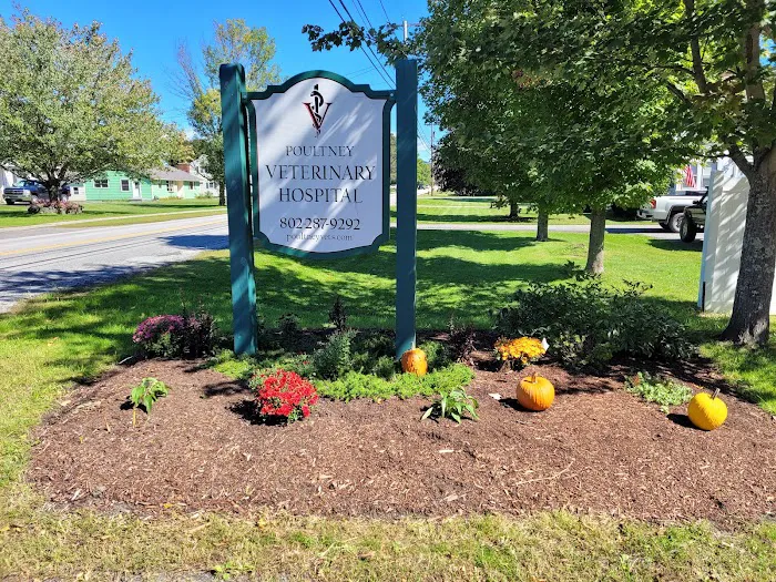 Poultney Veterinary Hospital Picture 8