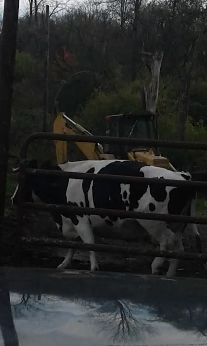 Granville Veterinary Service, Large Animal Picture 1