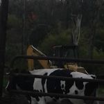 Granville Veterinary Service, Large Animal