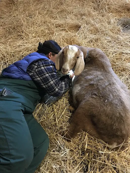 Granville Veterinary Service, Large Animal Picture 10