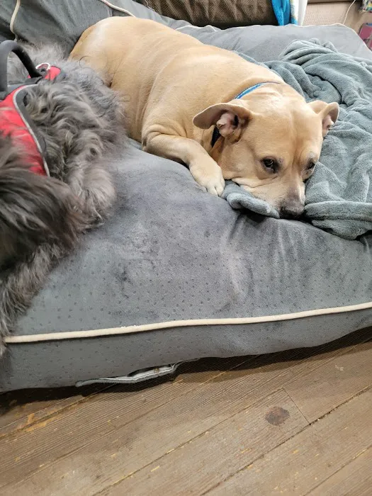 Granville Small Animal Hospital Picture 9