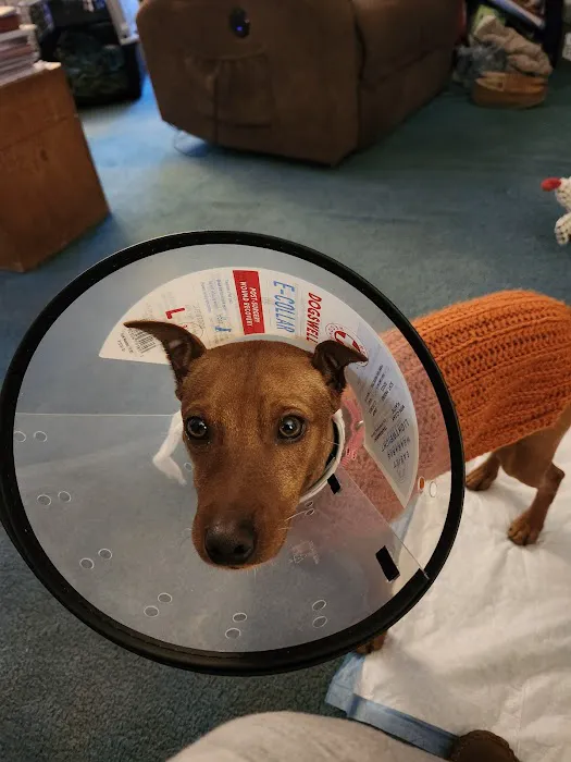 Granville Small Animal Hospital Picture 8