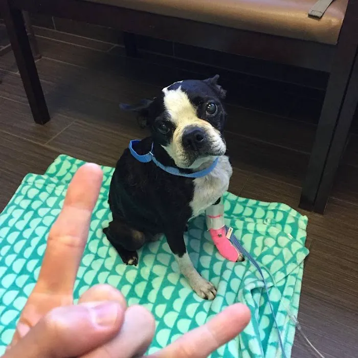 Huron Veterinary Hospital Picture 2