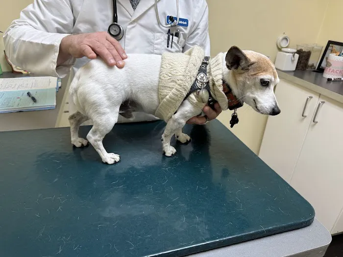 Huron Veterinary Hospital Picture 6