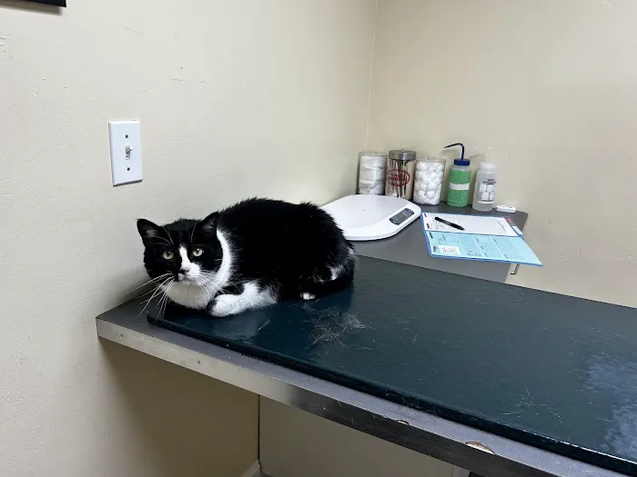 Huron Veterinary Hospital Picture 5