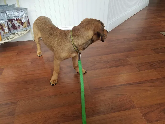 Huron Veterinary Hospital Picture 10