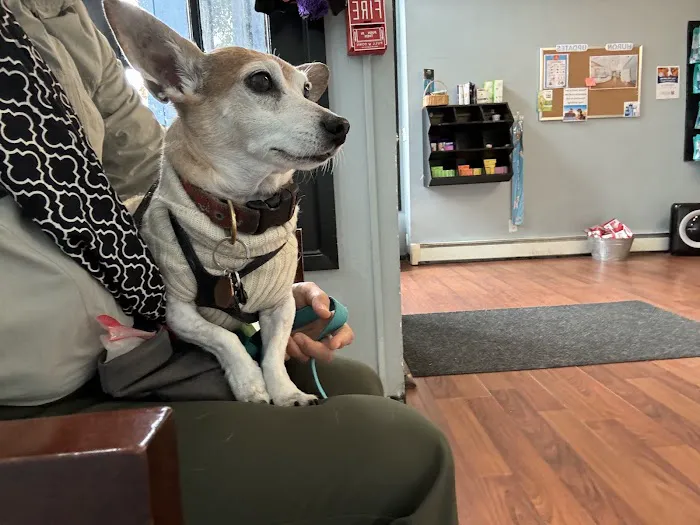 Huron Veterinary Hospital Picture 8