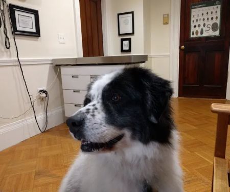 Winter Hill Veterinary Clinic