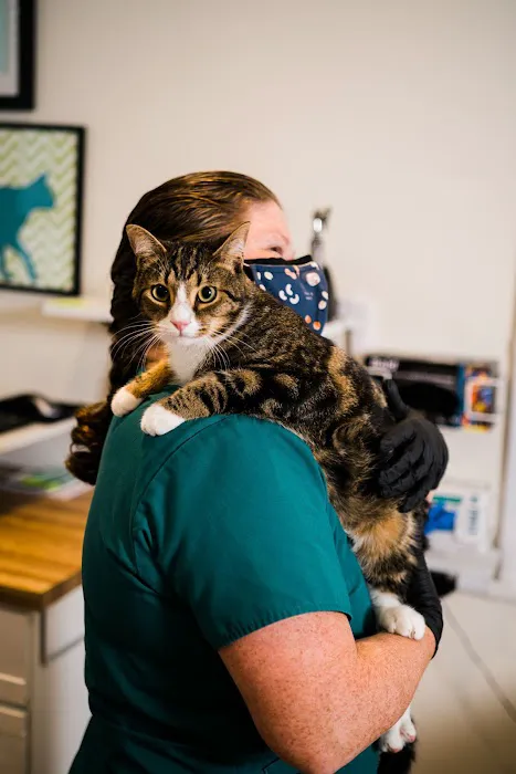 Winter Hill Veterinary Clinic Picture 4