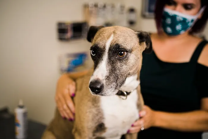 Winter Hill Veterinary Clinic Picture 3