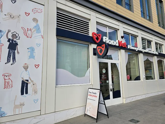 Bond Vet - Somerville Picture 4