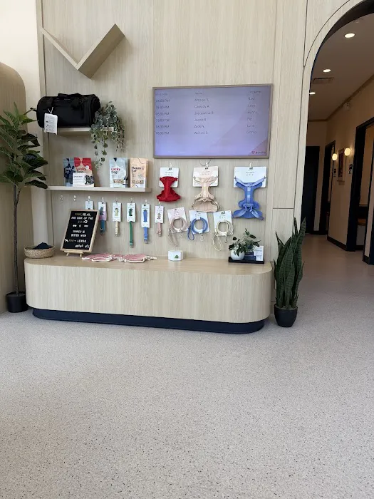Bond Vet - Somerville Picture 6