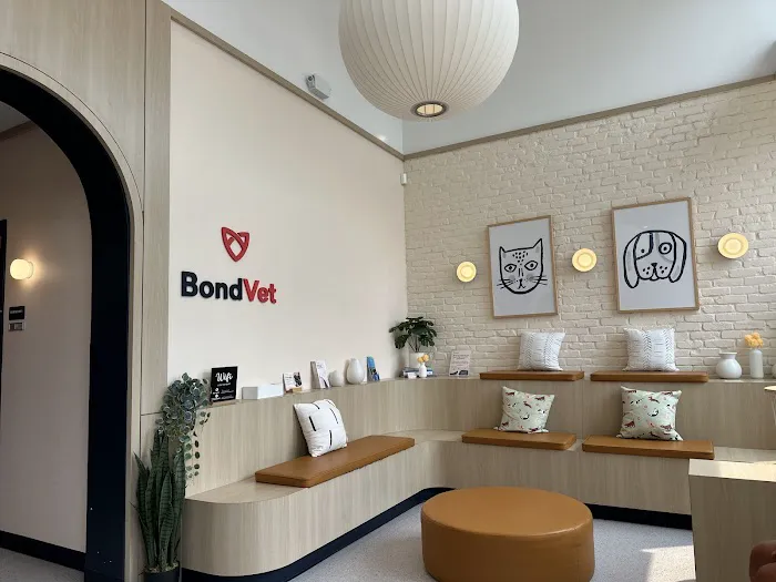 Bond Vet - Somerville Picture 1