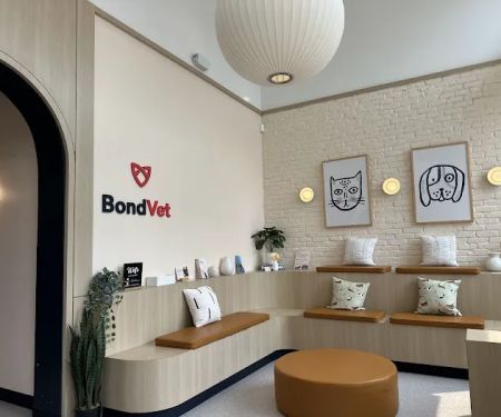 Bond Vet - Somerville