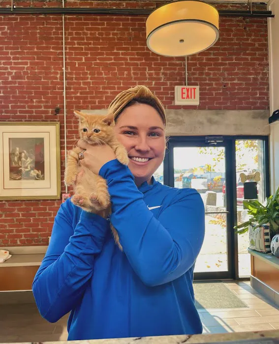 Charlestown Veterinary Hospital Picture 7