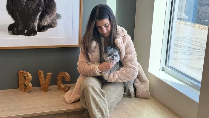Boston Veterinary Clinic Picture 8