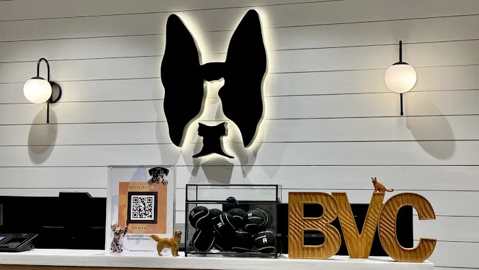 Boston Veterinary Clinic Picture 4