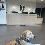 Boston Veterinary Clinic