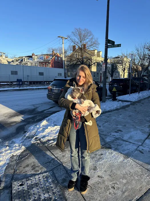Charlestown Pet Clinic Picture 4