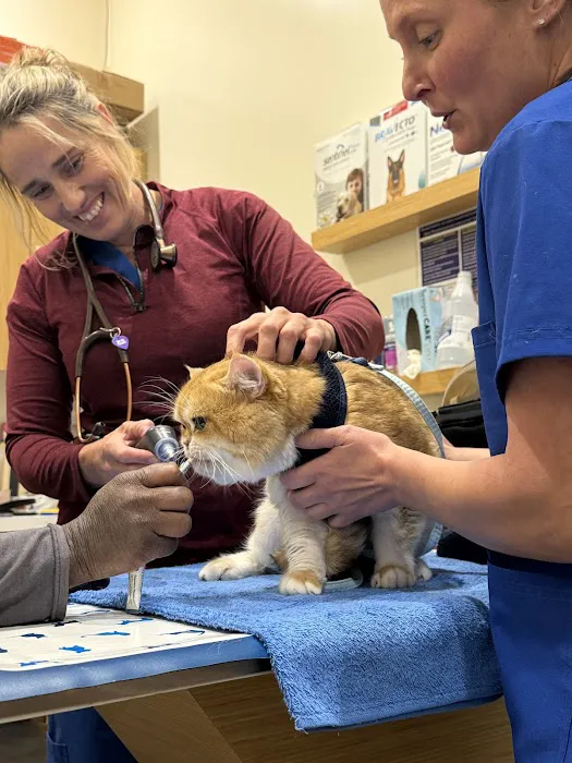 Vetco Vaccination Clinic Picture 4