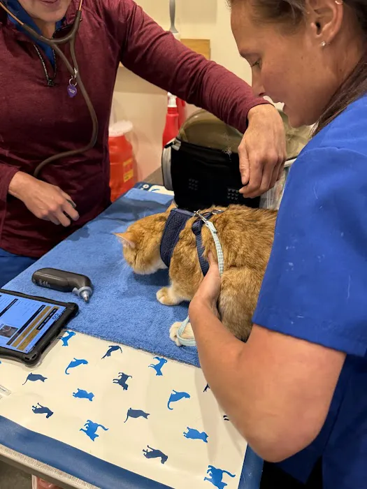 Vetco Vaccination Clinic Picture 1