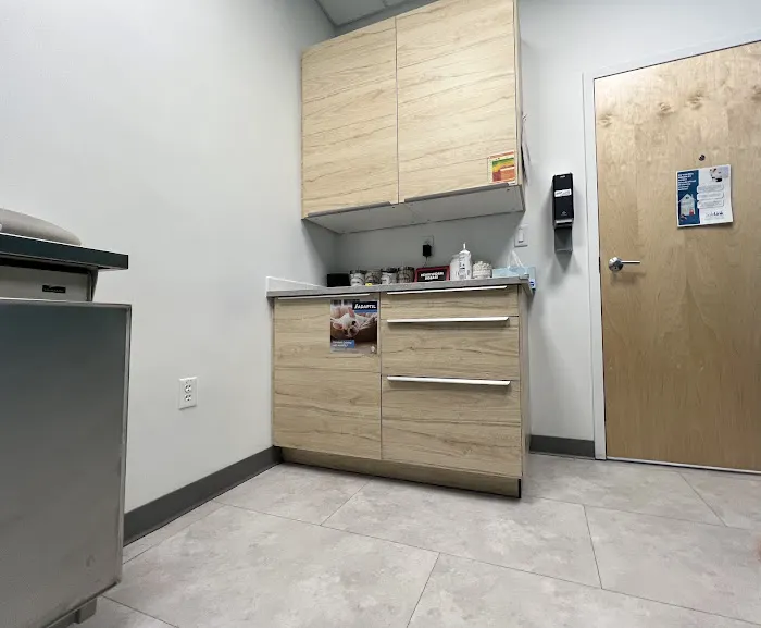 The Pet's Vet North End Picture 6