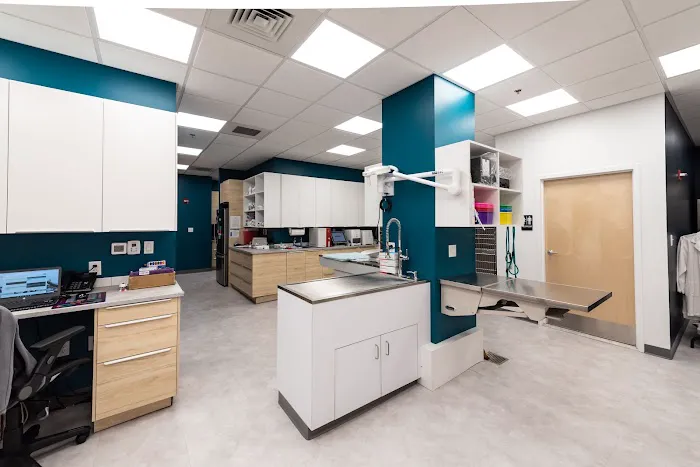 The Pet's Vet North End Picture 9