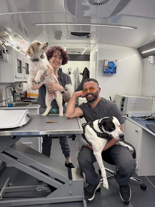 Tandem Veterinary Clinic - East Boston Picture 4