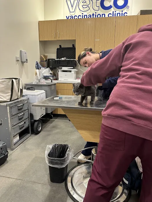 Vetco Total Care Animal Hospital Picture 1