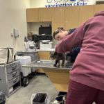 Vetco Total Care Animal Hospital