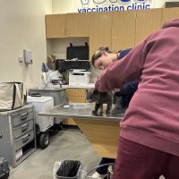 Vetco Total Care Animal Hospital ico