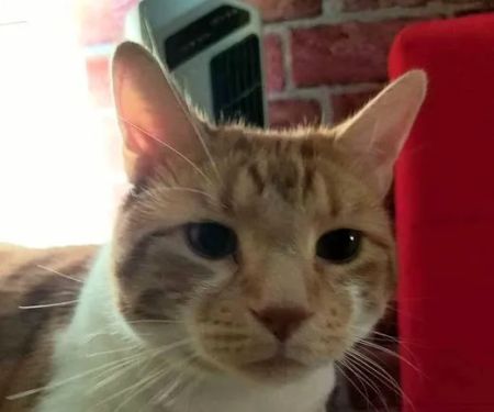 Wellington Circle Veterinary Center