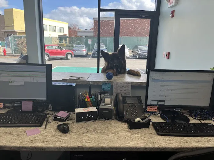 Wellington Circle Veterinary Center Picture 3