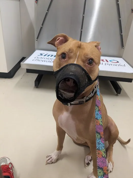 River Road Veterinary Hospital Picture 3
