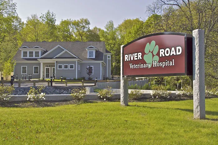 River Road Veterinary Hospital Picture 9