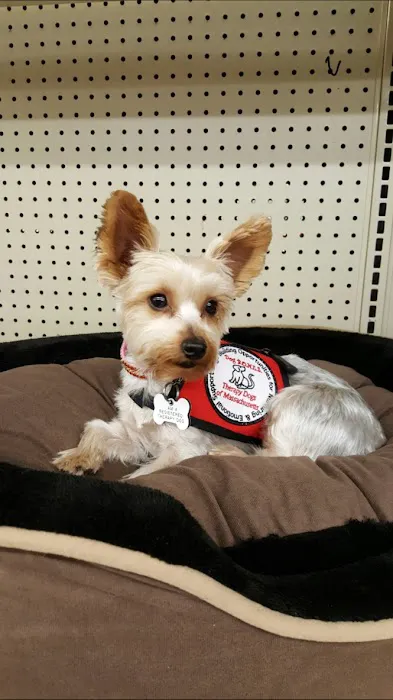 Stoneham Animal Hospital Inc Picture 6