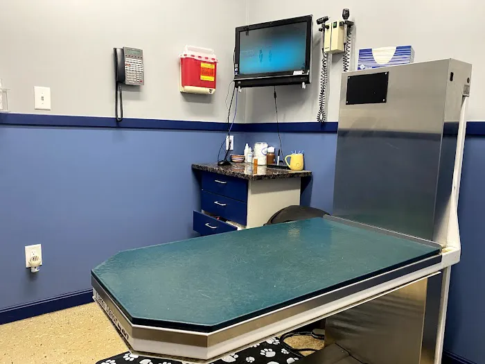 Stoneham Animal Hospital Inc Picture 7