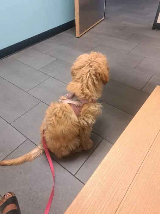 Banfield Pet Hospital Picture 2