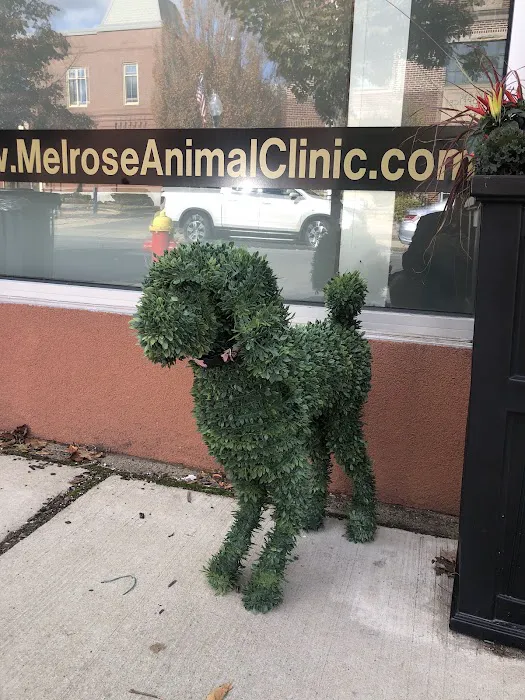 Melrose Animal Clinic Picture 3