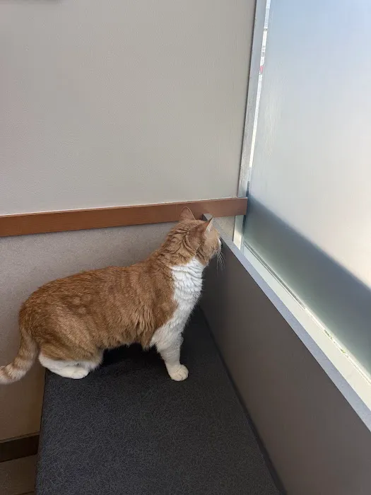 Melrose Animal Clinic Picture 4