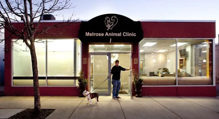 Melrose Animal Clinic Picture 8